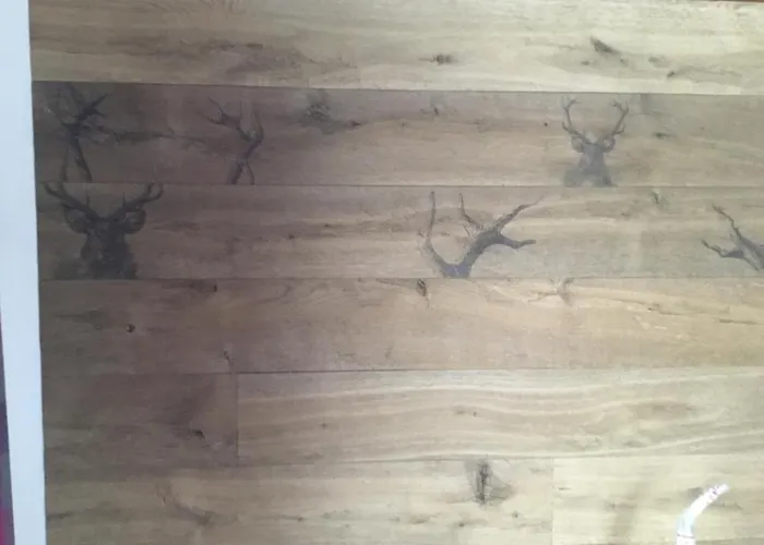 Шале Olivia Зеефельд в Тироле