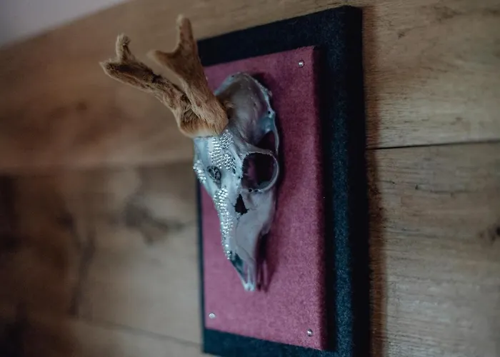 Olivia * Зеефельд в Тироле